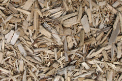 biomass boilers Brechin